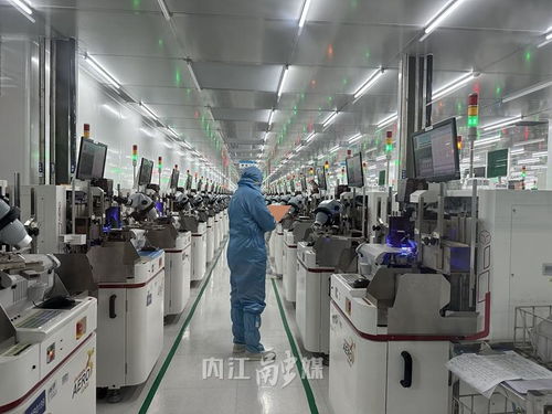 數字見證甜城內江 年產60億只產品，年入4億，營商環境為企業注入澎湃動能