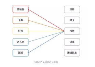 互聯(lián)網(wǎng)金融產(chǎn)品運營全案設(shè)計 策略、步驟與實戰(zhàn)解析